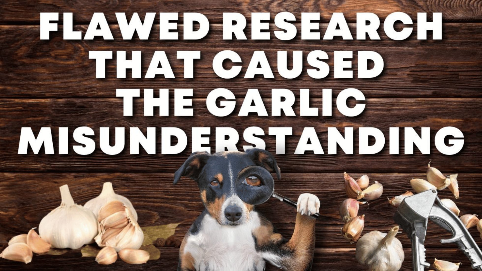 Is garlic bad for puppies best sale